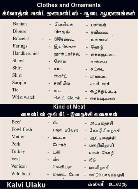 Translate holy crap in Tamil with contextual examples .